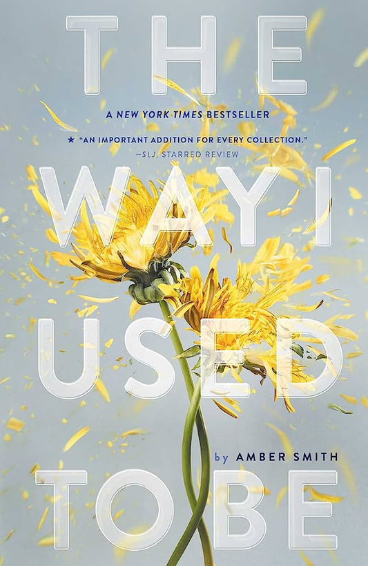 The Way I Used to Be Book by Amber Smith