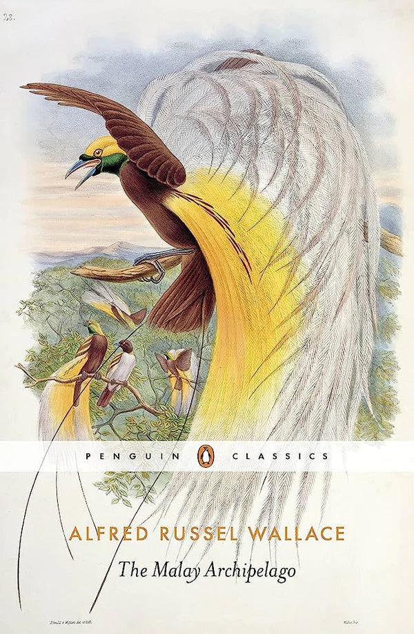The Malay Archipelago By Alfred Russell Wallace