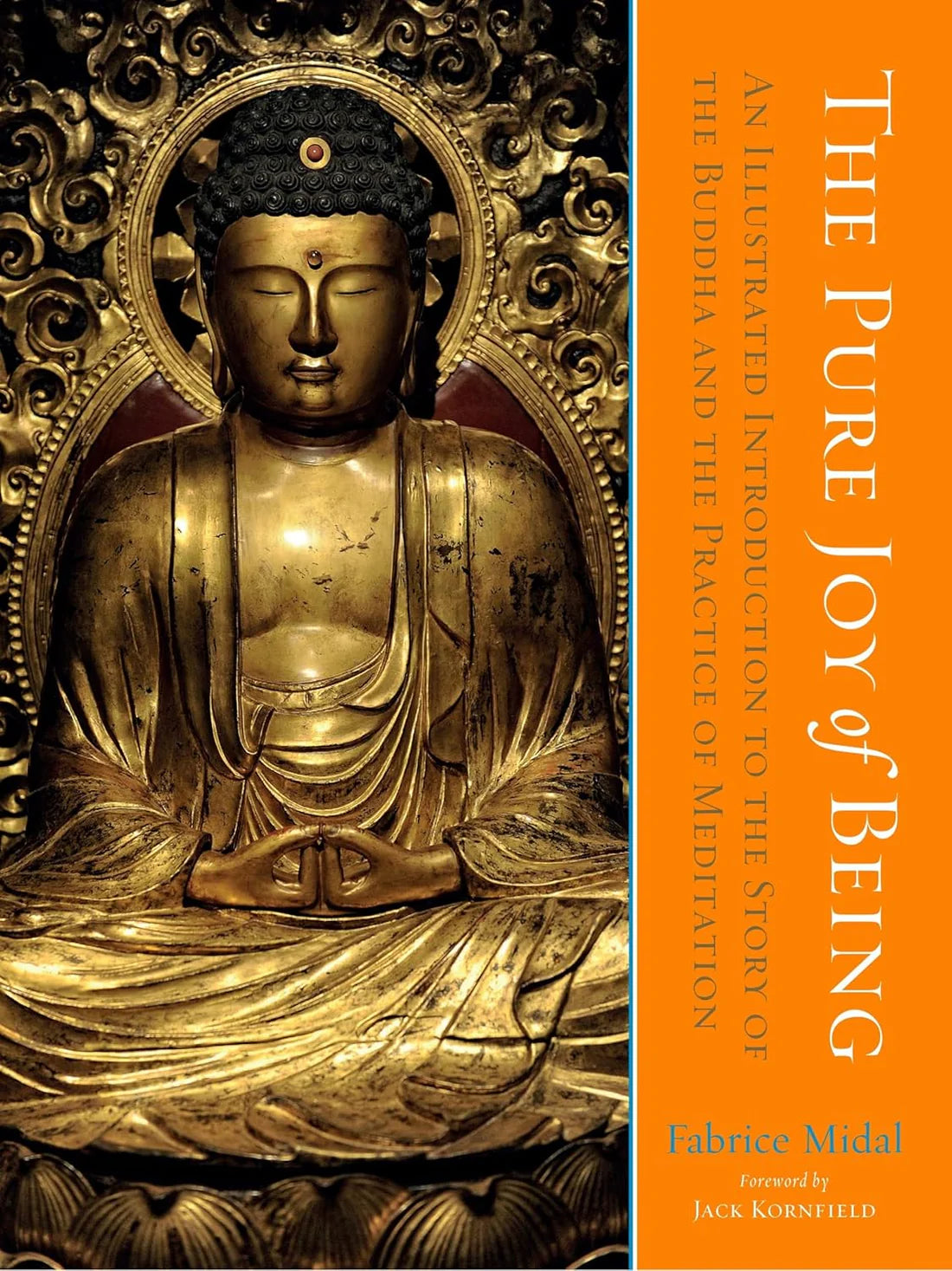 The Pure Joy of Being By Fabrice Midal