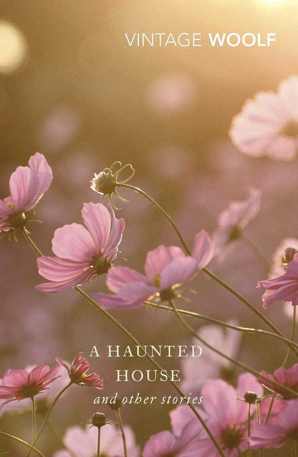 A Haunted House and Other Stories By Virginia Woolf