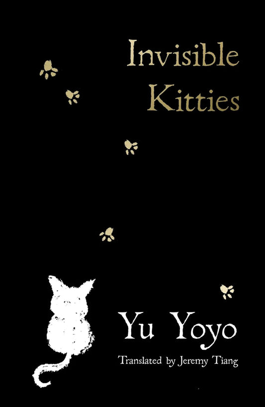 Invisible Kitties By Yu Yoyo