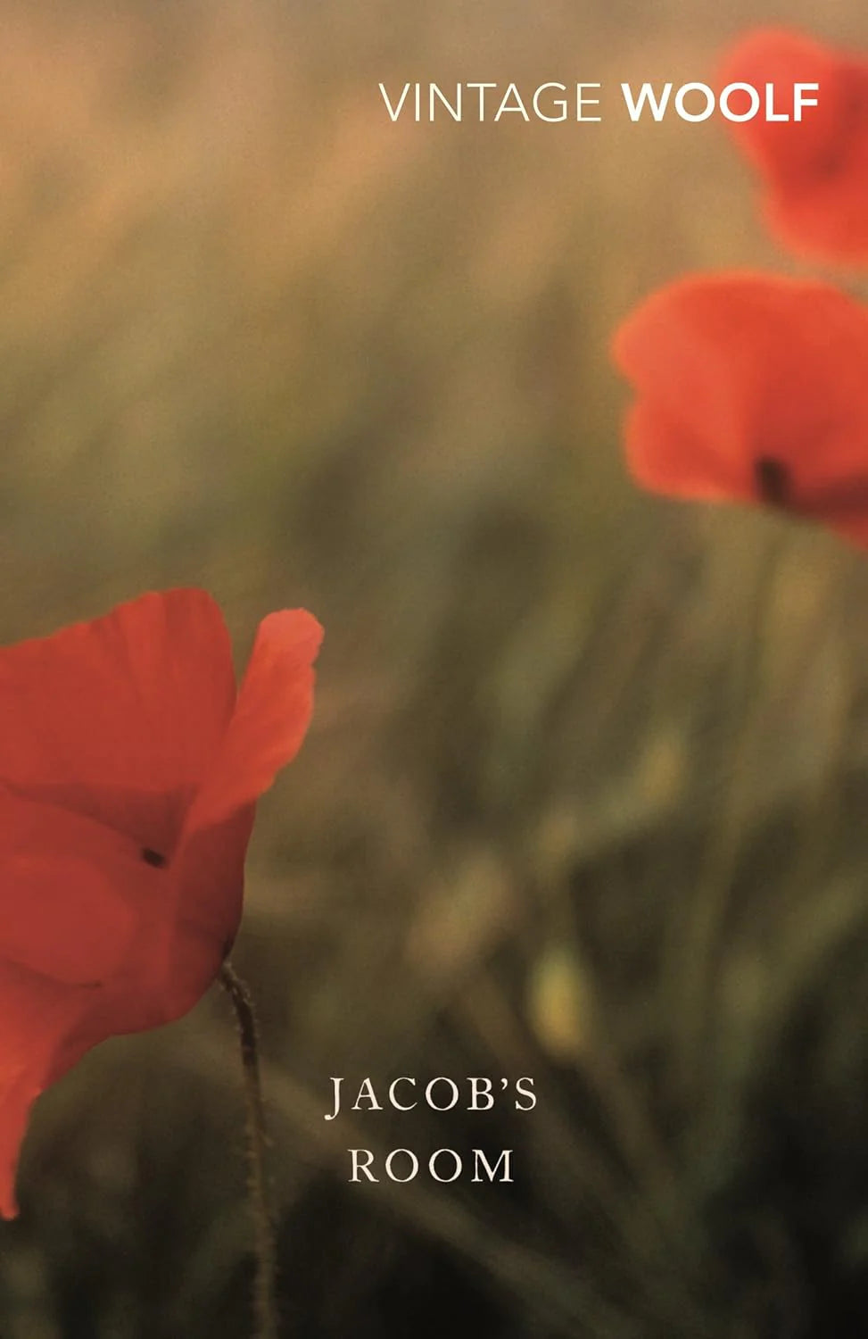 Jacobs Room By Virginia Woolf