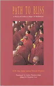 Path to Bliss By Dalai Lama (Author) Christine Cox (Editor) Geshe Thubten Jinpa (Translator)