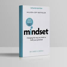 Mindset: OLD STOCK  The New Psychology of Success Book by Carol Dweck