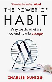 The Power of Habit OLD STOCK by Charles Duhigg