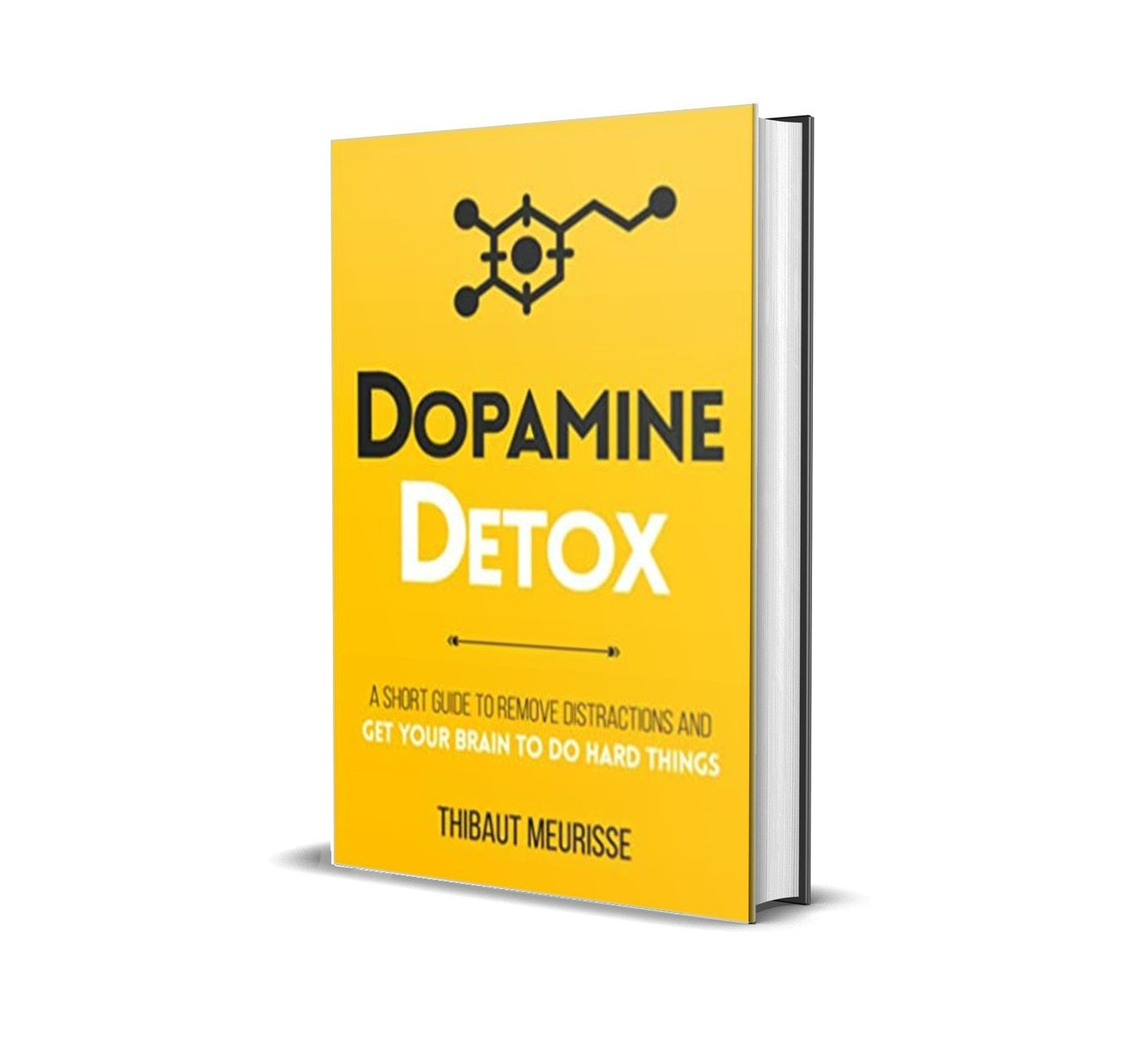 Dopamine Detox by Thibaut Meurissee