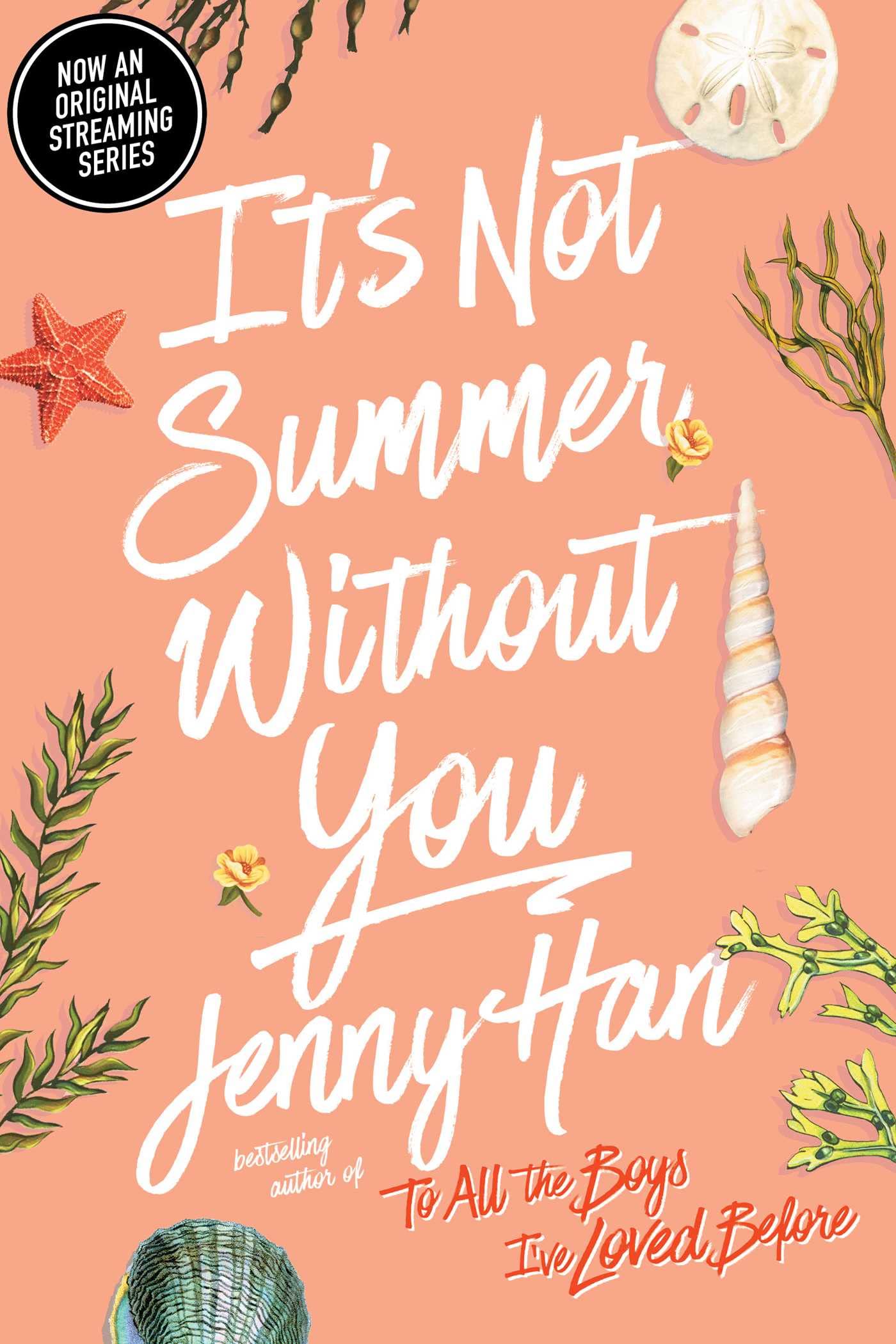 It's Not Summer Without You Book by Jenny Han