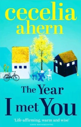 The Year I Met You by Cecelia Ahern