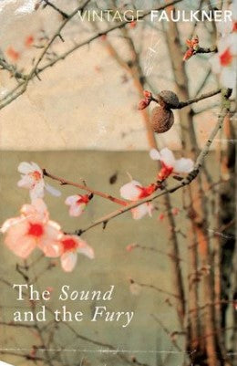 The Sound and the Fury by William Faulkner